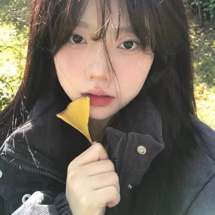 亲爱的女士
